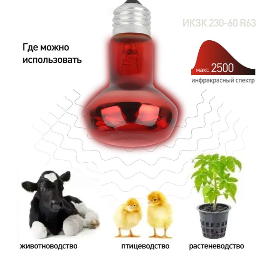 Комплект из 2-х инфракрасных ламп ЭРА ИКЗК 230-60 R63 E27 для курятника цыплят птиц животных/лампа для обогрева | Инфракрасные лампы