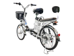 Электровелосипед Green Camel Транк-2 V2 (R20 250W) Алюм 2-х подвес