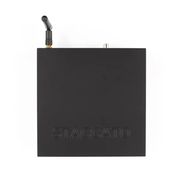 Earmen Staccato