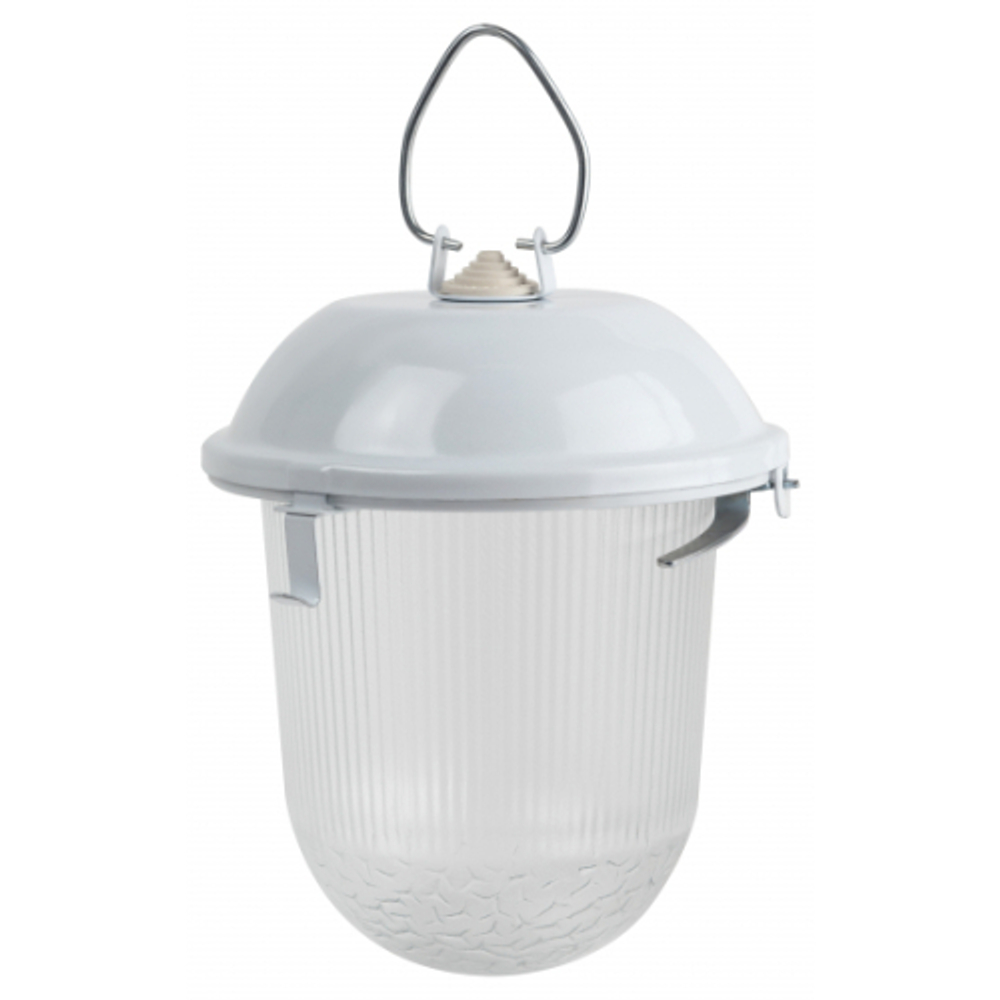 Светильник ЭРА «Желудь» НСП 41-200-001 без решетки сталь/стекло IP54 E27 max 200Вт 185х260 белый