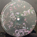 Olivia Rodrigo / You Seem Pretty Sad For A Girl So In Love (LP)