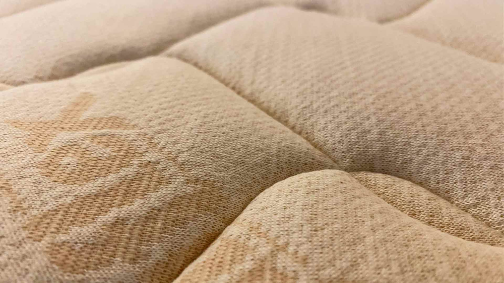 Матрас Magniflex New Merino