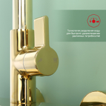 Душевая система Raglo R50.24.23, золото