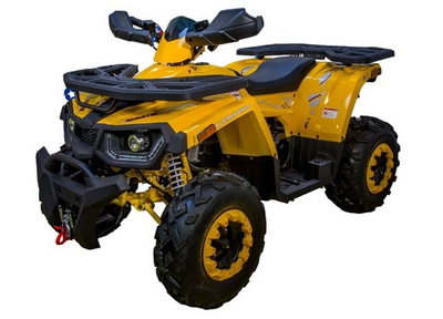 Квадроцикл AVANTIS Hunter 200 Big Lux (Баланс. вал)
