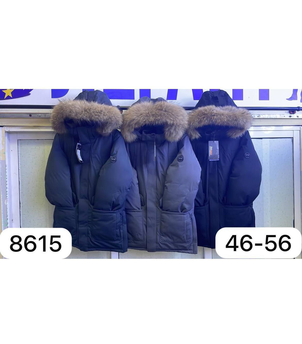 Зимняя парка