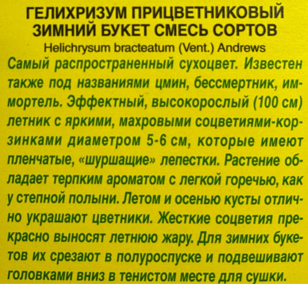 Гелихризум Зимний букет, смесь сортов СМЦ-782