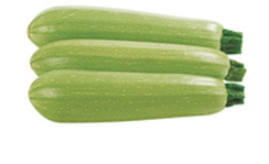 МАРСЕЛЛА F1 семена кабачка (Enza Zaden | Alexagro)