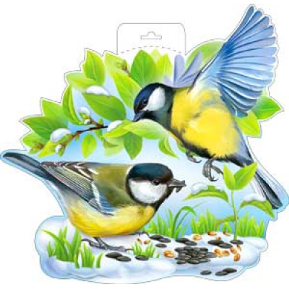 Синицы. 350х250мм. Отделка: Европодвес,полноцветный оборот,плотный картон И 46070