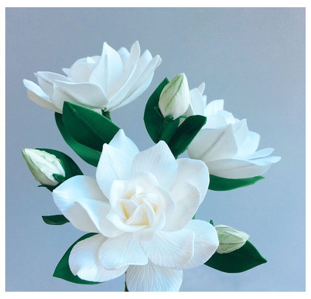 Молд вайнер силиконовый для лепки цветов "Лепесток Гардении"