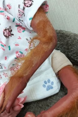 УЦЕНКА Кукла мягконабивная 52см в пакете (FA-007FV)