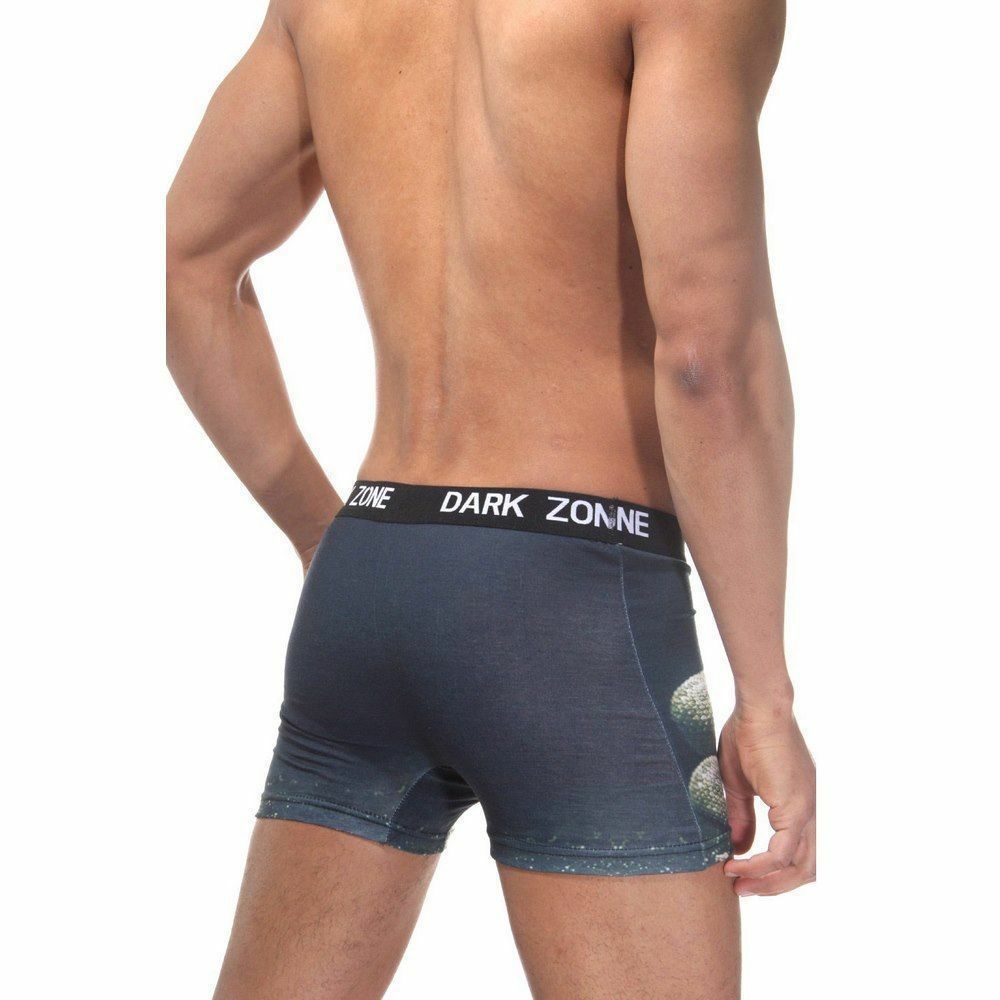 Трусы мужские боксеры с 3D принтом DARKZONE DZN1021