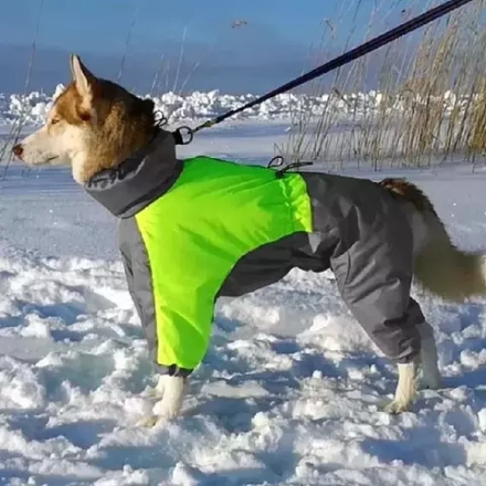 Комбинезон зимний для собаки White Wolf вырез на девочку лимонно-серый с принтом