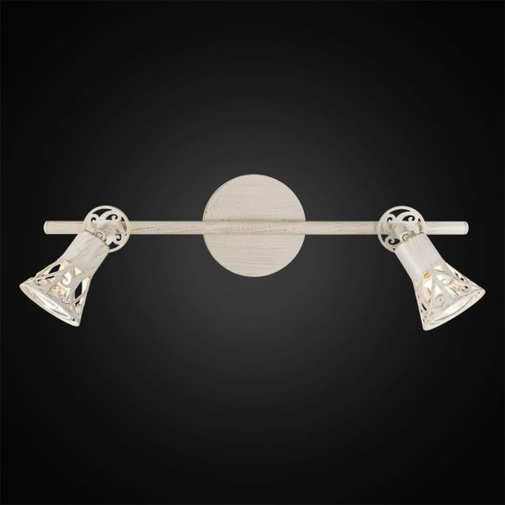 Спот Citilux Винон CL519525