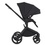 Коляска 2 в 1 ANEX Flo Lungo