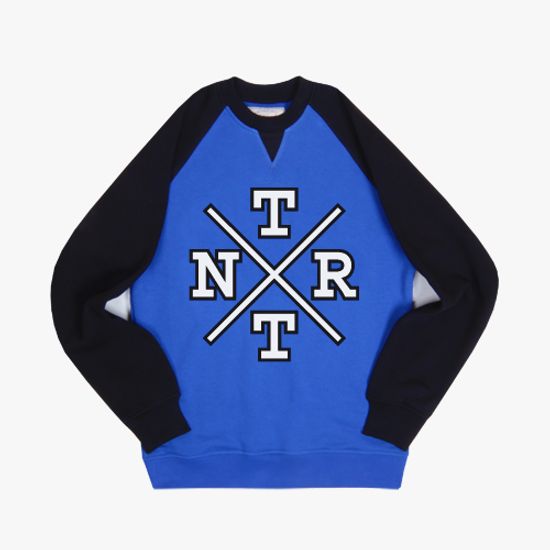 Толстовка Anteater crewneck TEAMLOGO