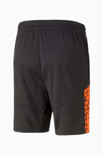 Шорты Puma individualCUP