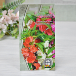 БАЛЬЗАМИН Экзотик (0,2г) Цв.пак.(10шт)