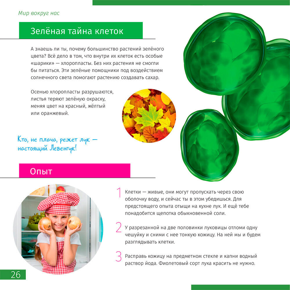 Микроскоп цифровой Discovery Pico Polar с книгой - фото 10