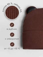 Шапка для мальчика осенняя с ушками