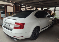 Пороги R-Style Skoda Octavia A7