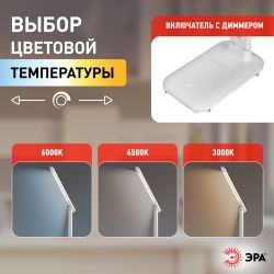 Настольный светильник ЭРА NLED-495-5W-W светодиодный аккумуляторный белый