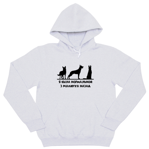 Толстовка "3 Малинуа назад"