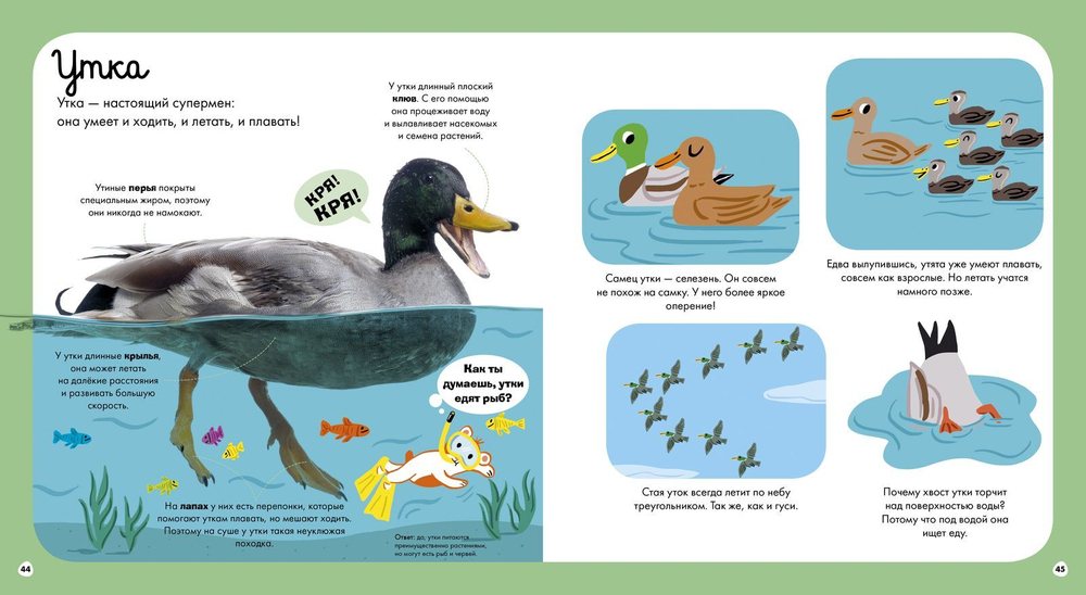 Главная книга малыша. О животных