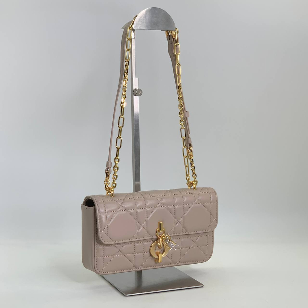 Сумка Dior 22 см