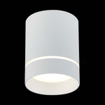 ST115.542.12 Светильник потолочный Белый LED 1*12W 4000K 840Lm Ra&gt;90 120° IP20 D79xH100 170-240V