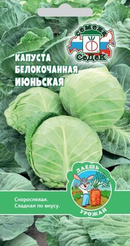 Капуста б/к Июньская ДУ Седек