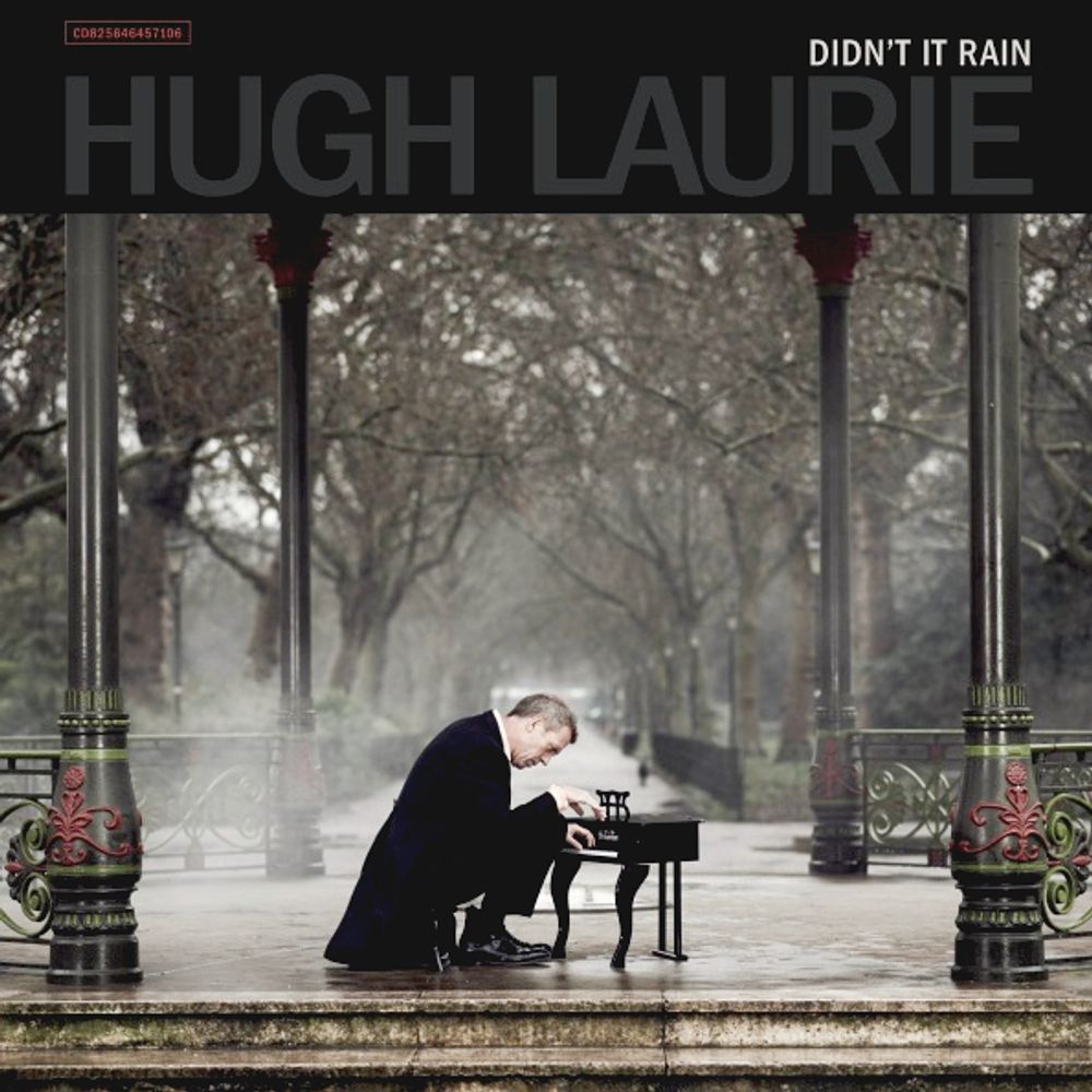 Hugh Laurie / Didn&#39;t It Rain (CD)