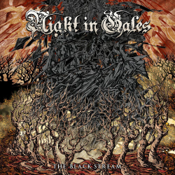 NIGHT IN GALES - The Black Stream MARBLED VINYL, цветная виниловая пластинка, melodic death metal