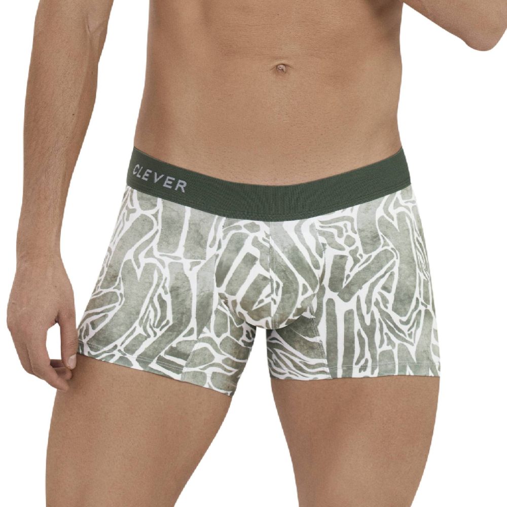 Мужские трусы боксеры с принтом цвета хаки Clever INNER BOXER 112910