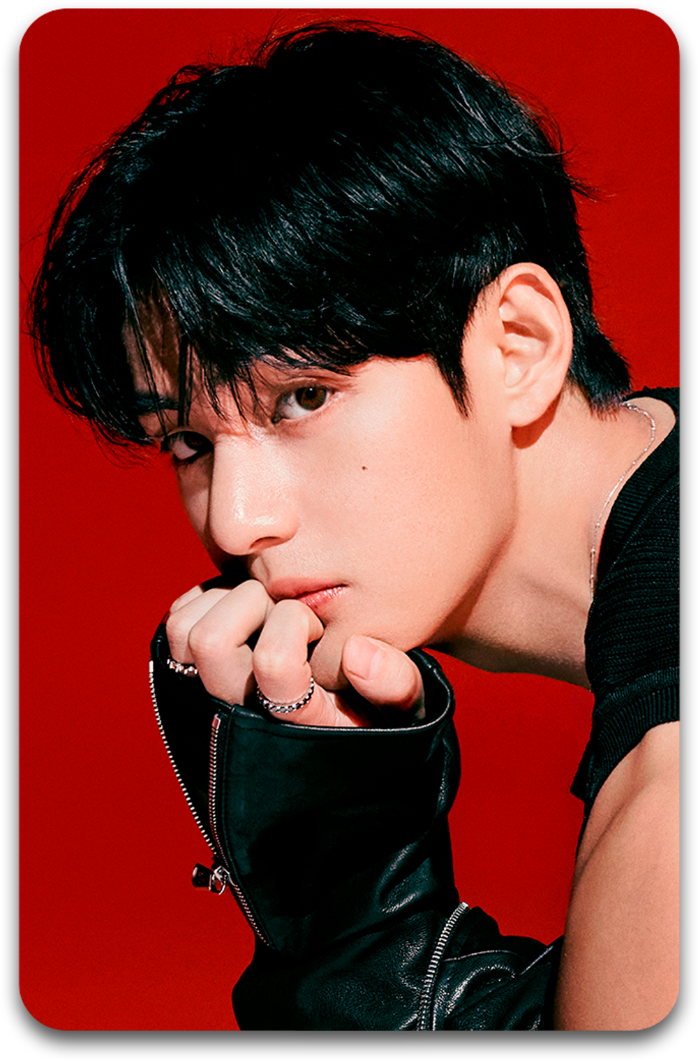 Карта / BTS #1536