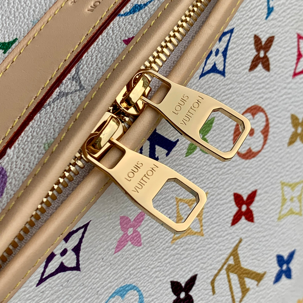 Louis Vuitton Dog Bag