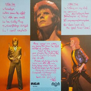 Bowie / Pinups (LP)
