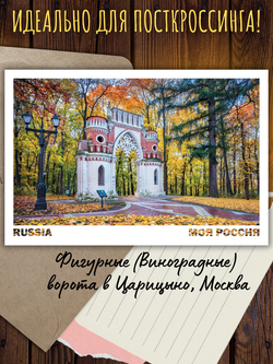 Моя Россия. Осень (выпуск №5, 2025)