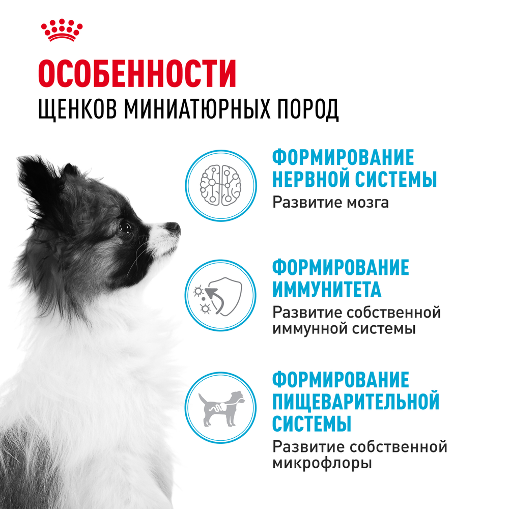 Royal Canin X-Small Puppy Икс-Смол Паппи Корм сухой для щенков миниатюрных пород в возрасте до 10 месяцев 500г