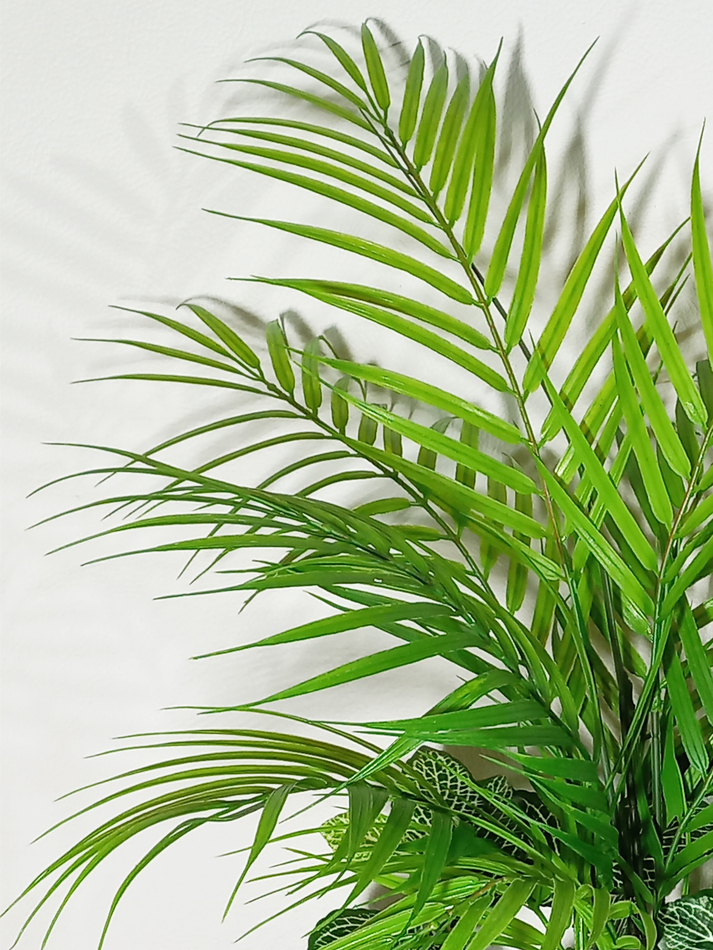 Композиция Тропическая с орхидеями бордо в кашпо