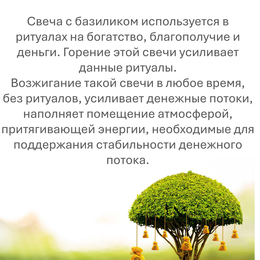 Свечи восковые скрученные с базиликом / процветание и благополучие, 5 штук