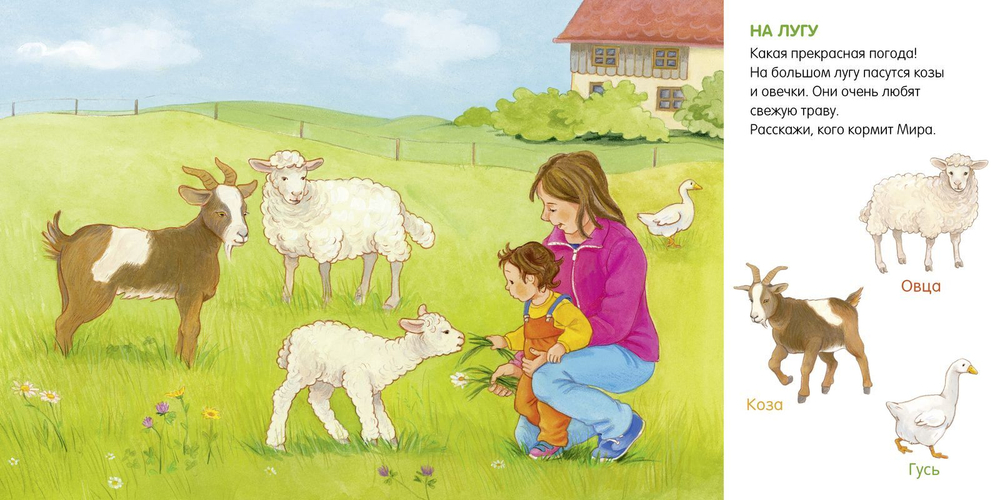 Книжки-картонки. Я учусь говорить. Животные