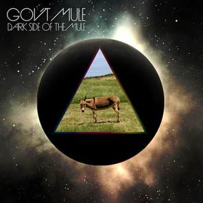 Gov't Mule / Dark Side Of The Mule (Coloured Vinyl)(2LP)