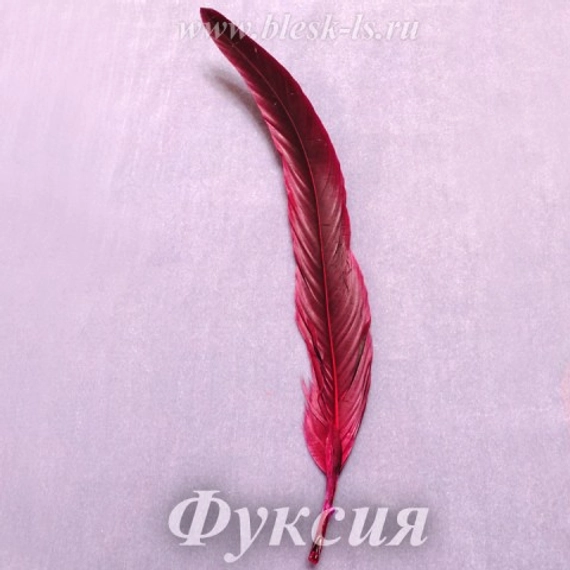 Перо петуха 25-30 см, Фуксия