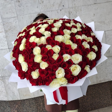 Букет из 201 розы сортов "Эксплорер" и "Мондиаль" (Эквадор 60 см)