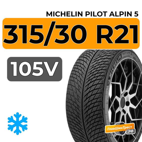 Michelin Pilot Alpin 5 315/30 R21 105V XL