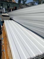 Белый профлист (Ral 9003)