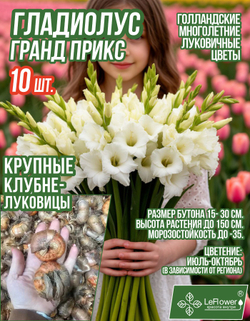 Гладиолус Луковица, Гранд прикс, крупные, 10шт