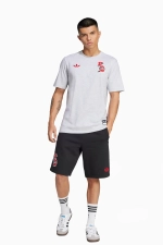 Футболка adidas FC Bayern 24/25 VRCT - серый