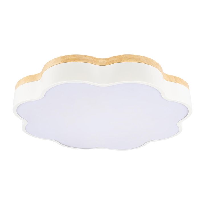 Потолочный светодиодный светильник Loft IT Axel 10225/36 White