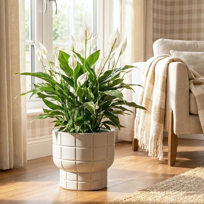 Кашпо КАРЕ D280 мм 7,8 л со вставкой 28*28*25,5см М3259